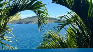 View from the courtyard suite.